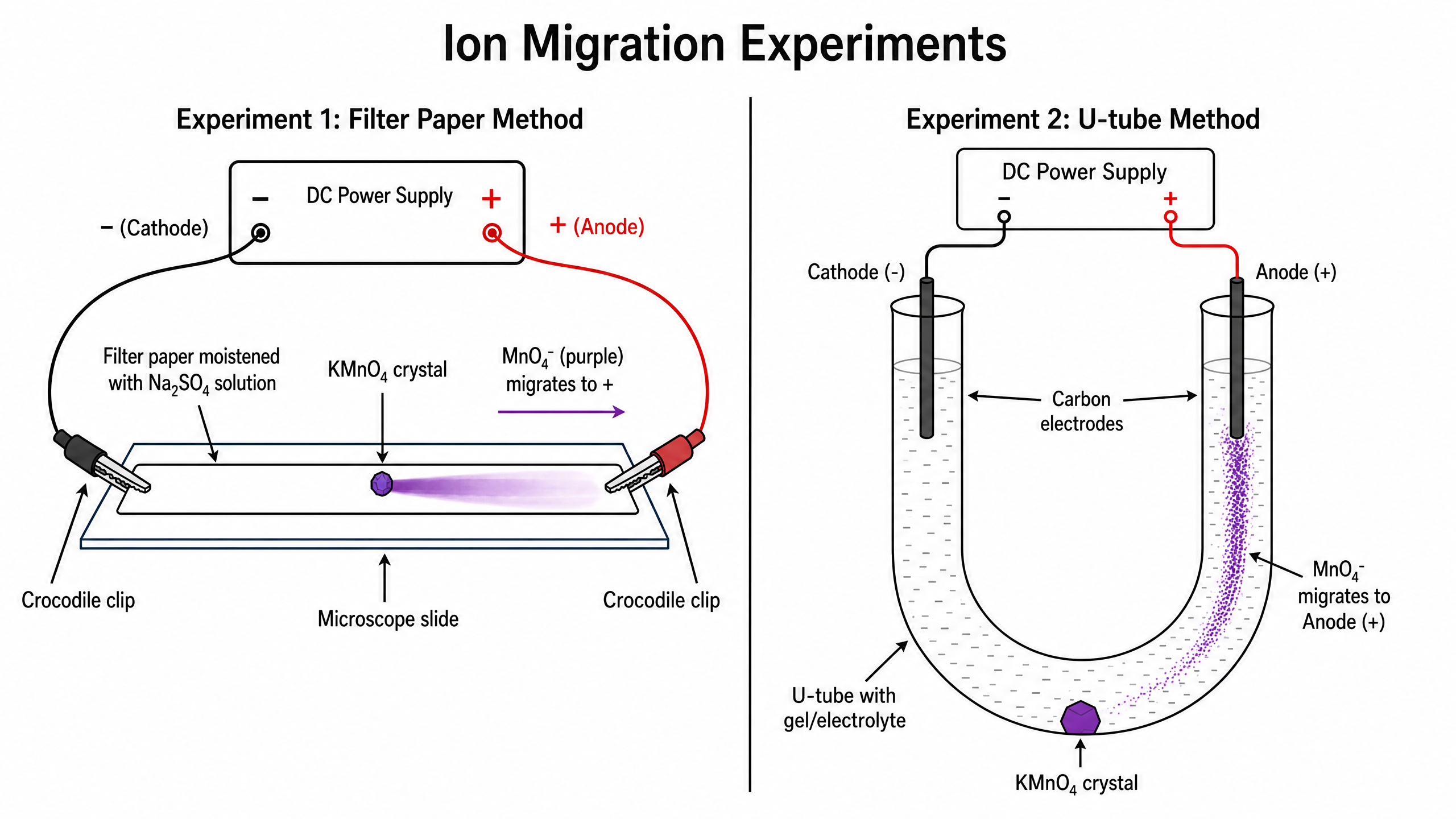 Ion migration experiments (filter paper and U-tube)